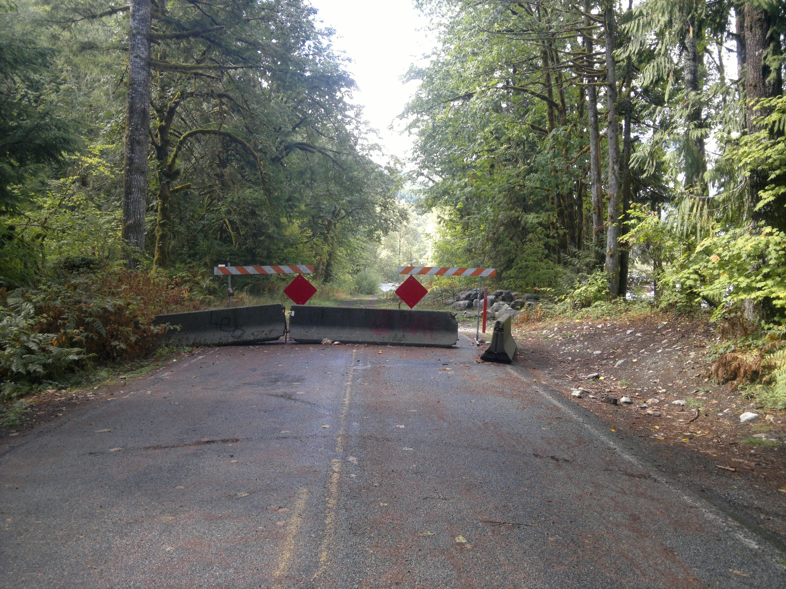 A forest road blocked by concrete barriers and warning signs, light visible through the trees beyond