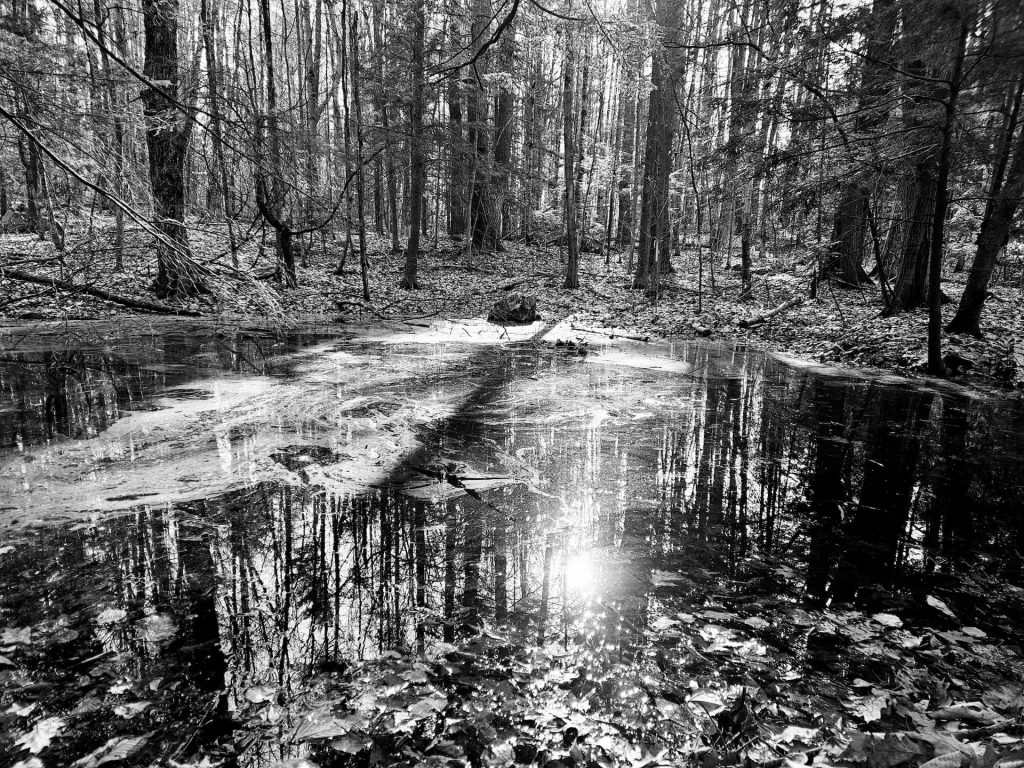 Black and white photograph of a still forest pond surrounded by trees, evoking stillness and introspection