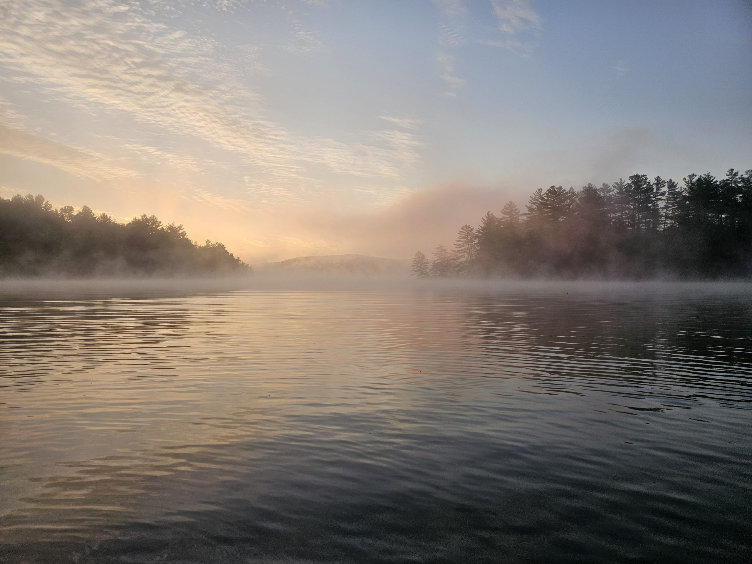 Looking out across a still pond at dawn, mist rising, warm peach sky reflected in the water