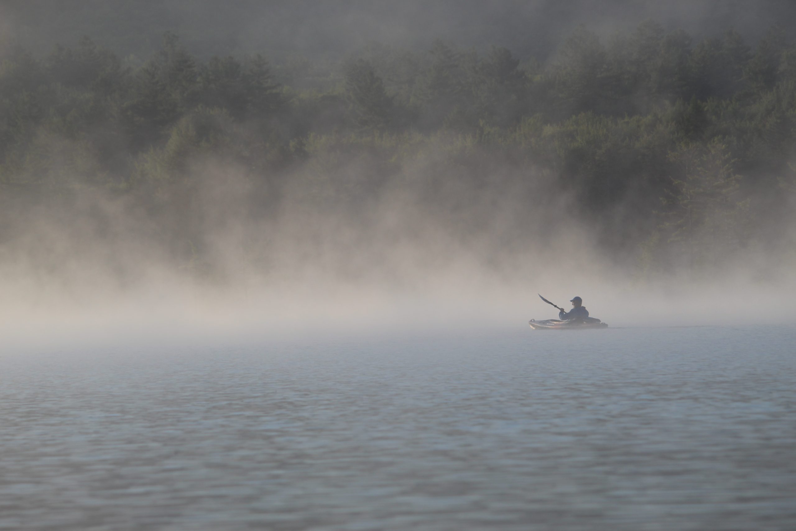 A kayaker paddling through morning mist on a still pond, green treeline beyond