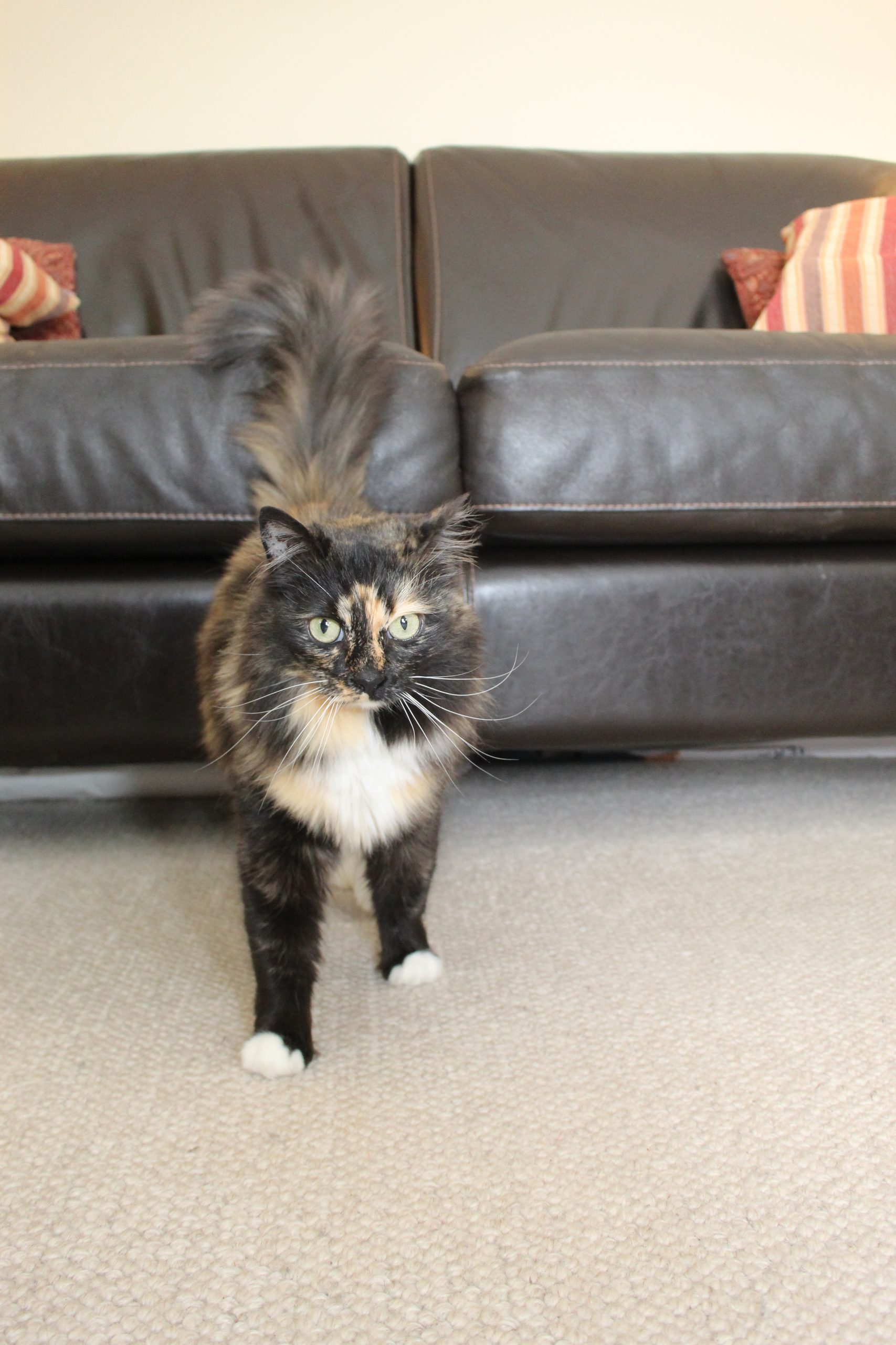 Lucy standing in the office