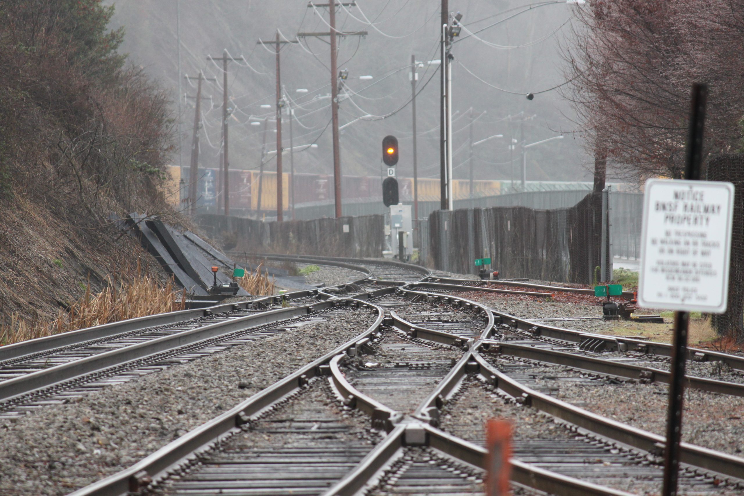 Overgrown railroad tracks reclaimed by Vermont forest — a metaphor for relationships that have gone untended