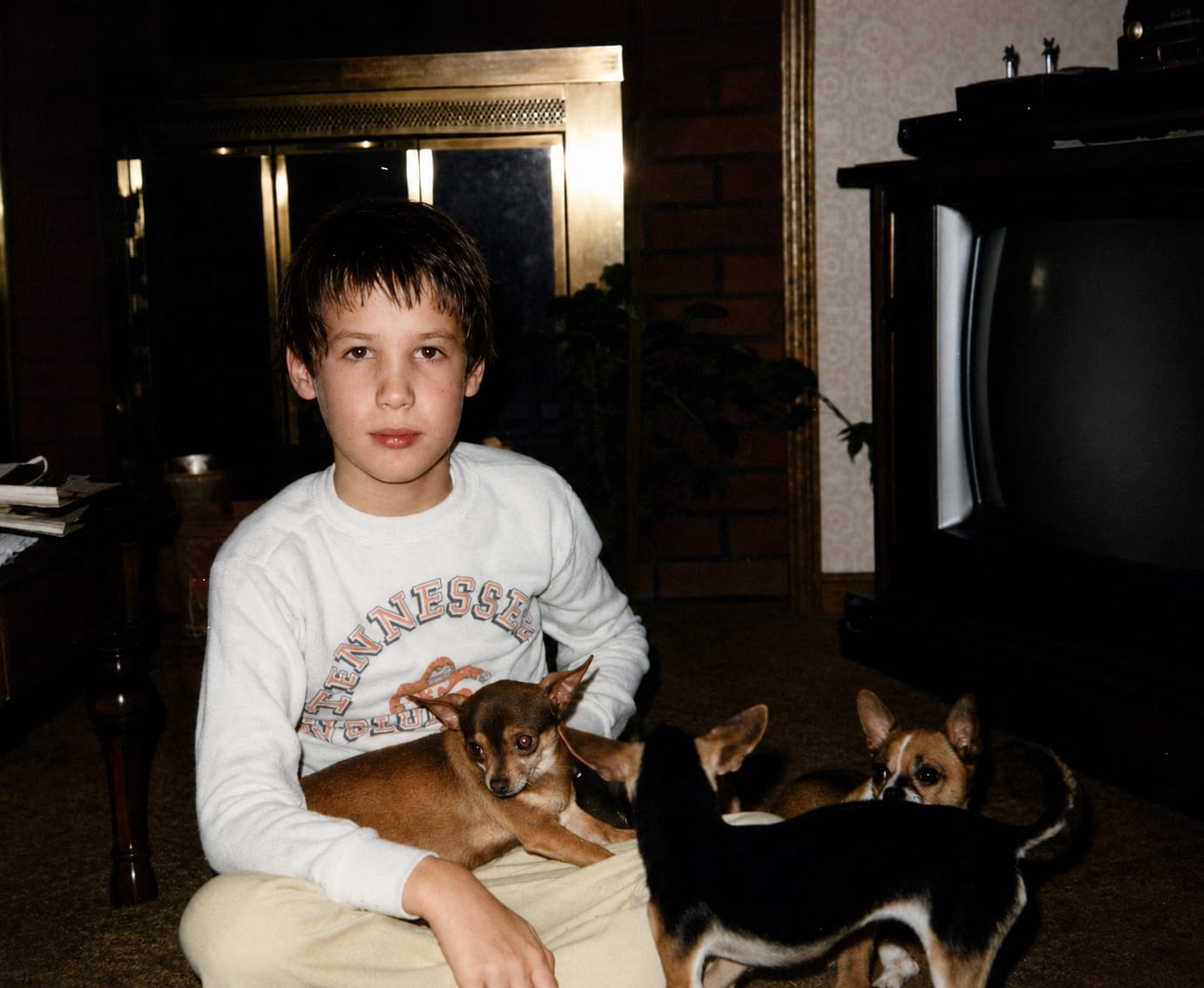 A boy of about ten, Tennessee sweatshirt, sitting with small dogs in a dark paneled room